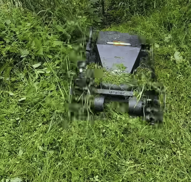 Grator en action dans les hautes herbes